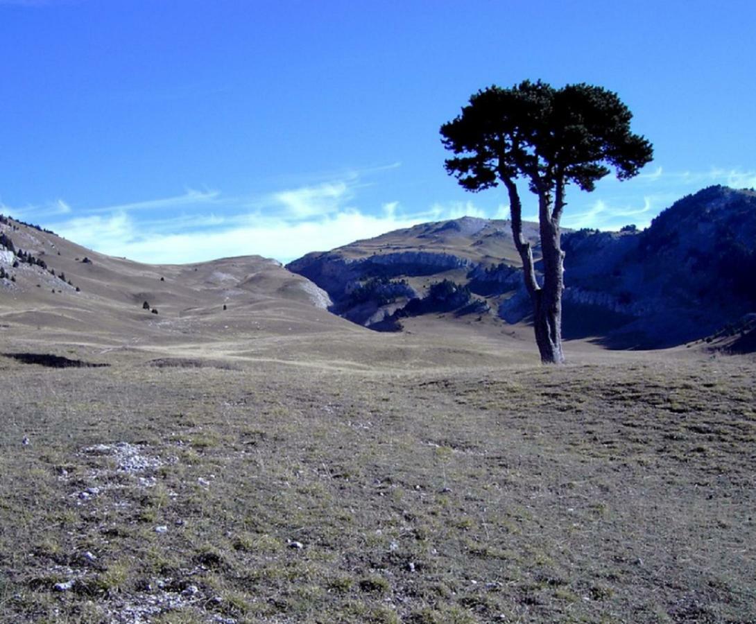 Okami Du Vercors Saint-Laurent-en-Royans Zewnętrze zdjęcie